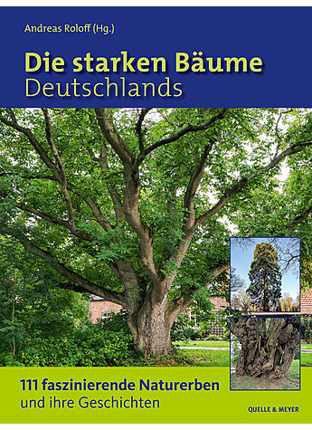 Die starken Bäume Deutschlands