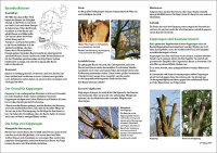 Flyer Kappung 1 VE = 100 St.