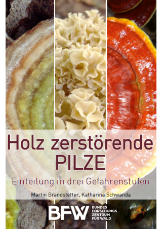 Holz zerstörende Pilze