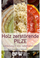 Holz zerstörende Pilze
